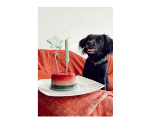 Foto de Torta de cumpleaños con velita y cartel