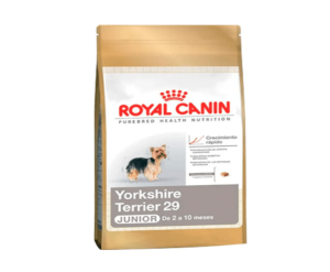 Foto de Royal canin yorkshire terrier puppy 3 kg
