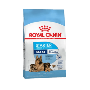 Royal Canin Starter Maxi 10 kg